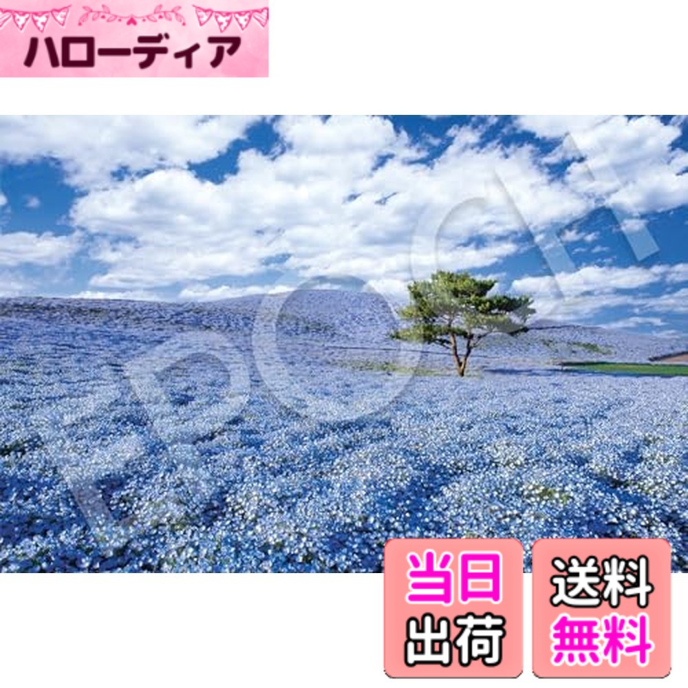 【貨物輸送無料】エポック社 1000天下太平 謎合わせ 日本見晴らし