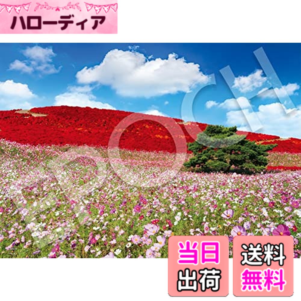 楽天市場】【送料無料】エポック社 500ピース ジグソーパズル Starry