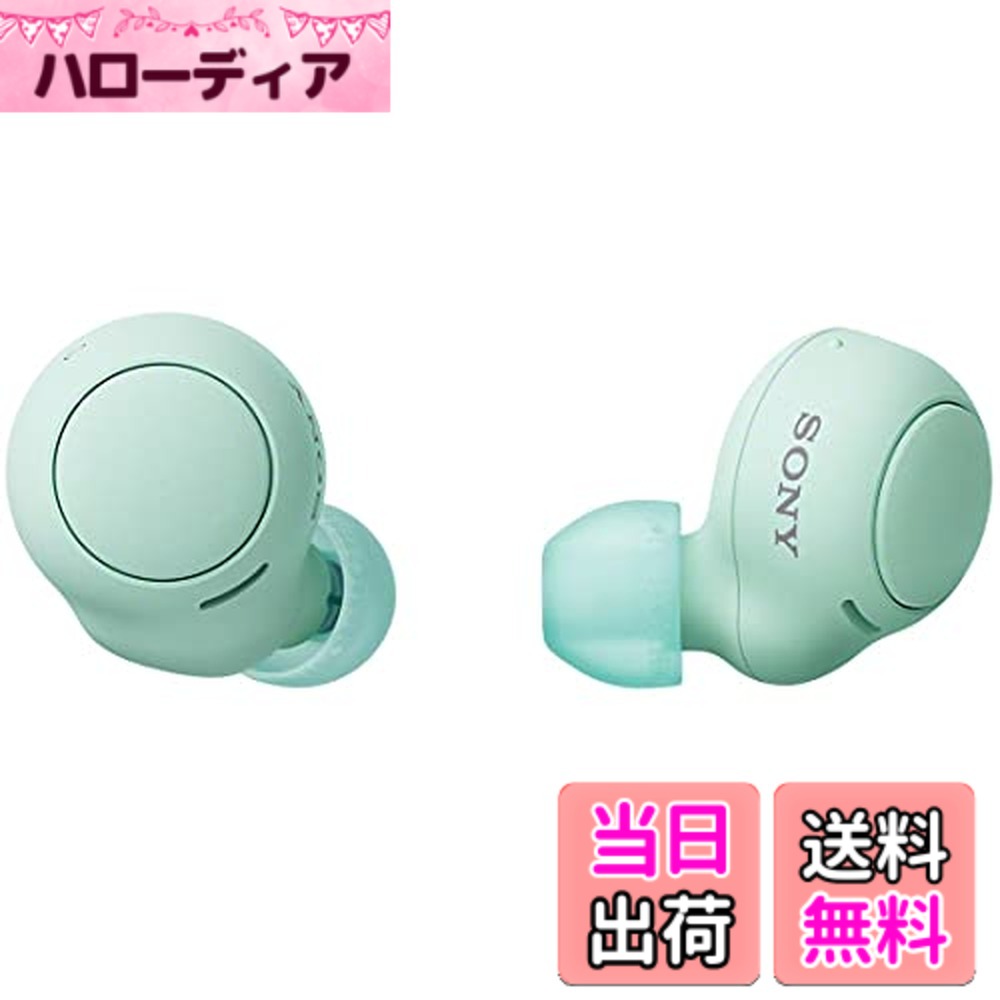 【貨物輸送無料】ソニー(SONY) 完膚なきまでワイヤレスイヤホン WF-C500/WF-C510 :/高適確さ電話を掛ける特性/IPX4防滴動作