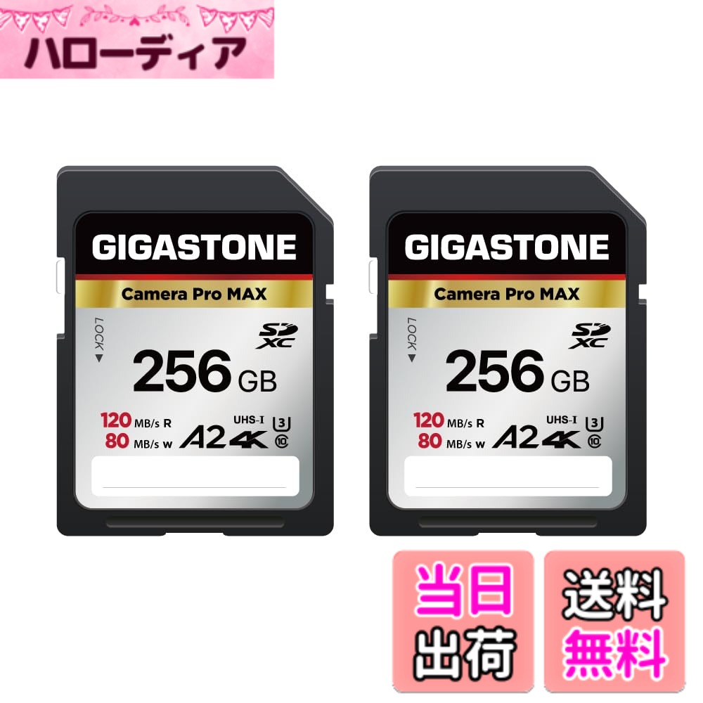 【貨物輸送無料】Camera Pro Series 3 色：256GB Camera Pro MAX 2枚仕掛ける、大きさ：SD 256GB V60 2PK