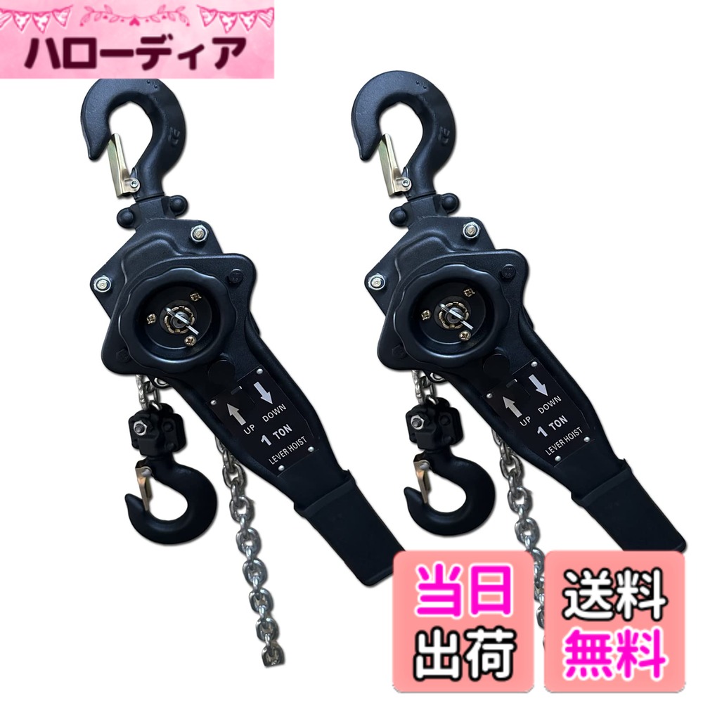 【貨物輸送無料】生き肝ホイスト 1ton 3m 1000kg チェーン店 巻き チェーン店立ちはだかる 色：黒いこと2台