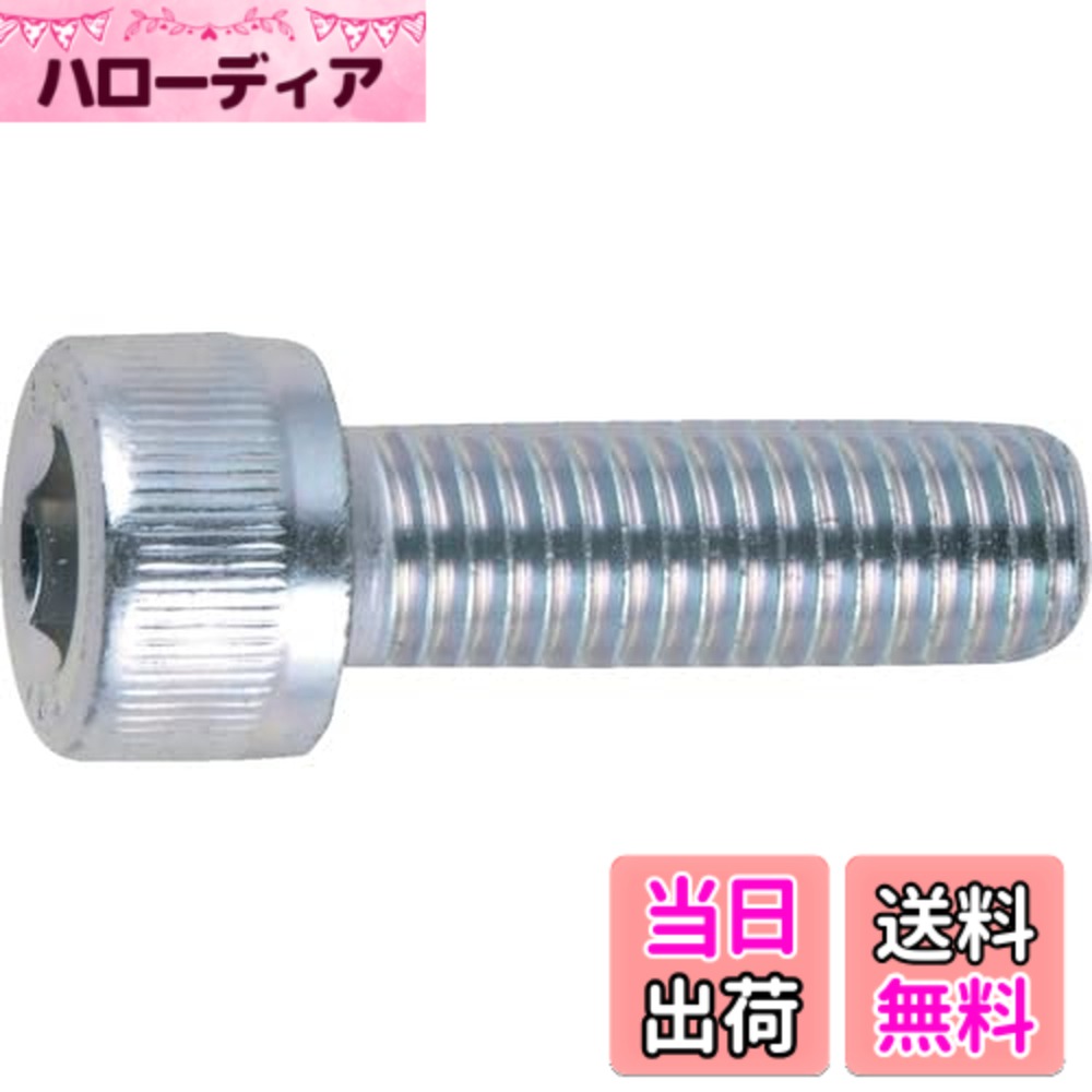 【貨物輸送無料】TRUSCO(トラスコ) 六角穴付雄捩子三価 白 大いさ：M6x25