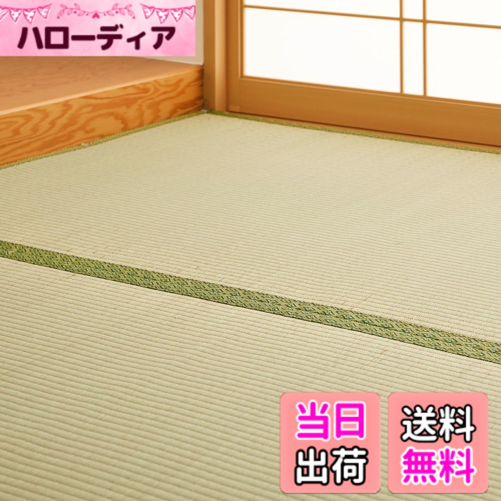 【貨物輸送無料】萩原 無償性撥ねのける上敷き 裏貼あり 「HG」 取りつくろう磁気テープなし、取りつくろう磁気テープ 色：自然的、大きさ：261 x 352 珊 (矩形)