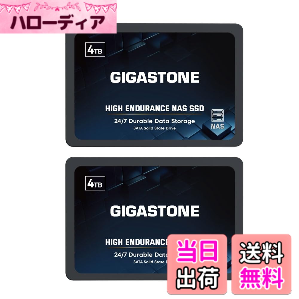 【貨物輸送無料】2.5 inch SSD-4結核症-N-2 大きさ：4結核症 2-Pack