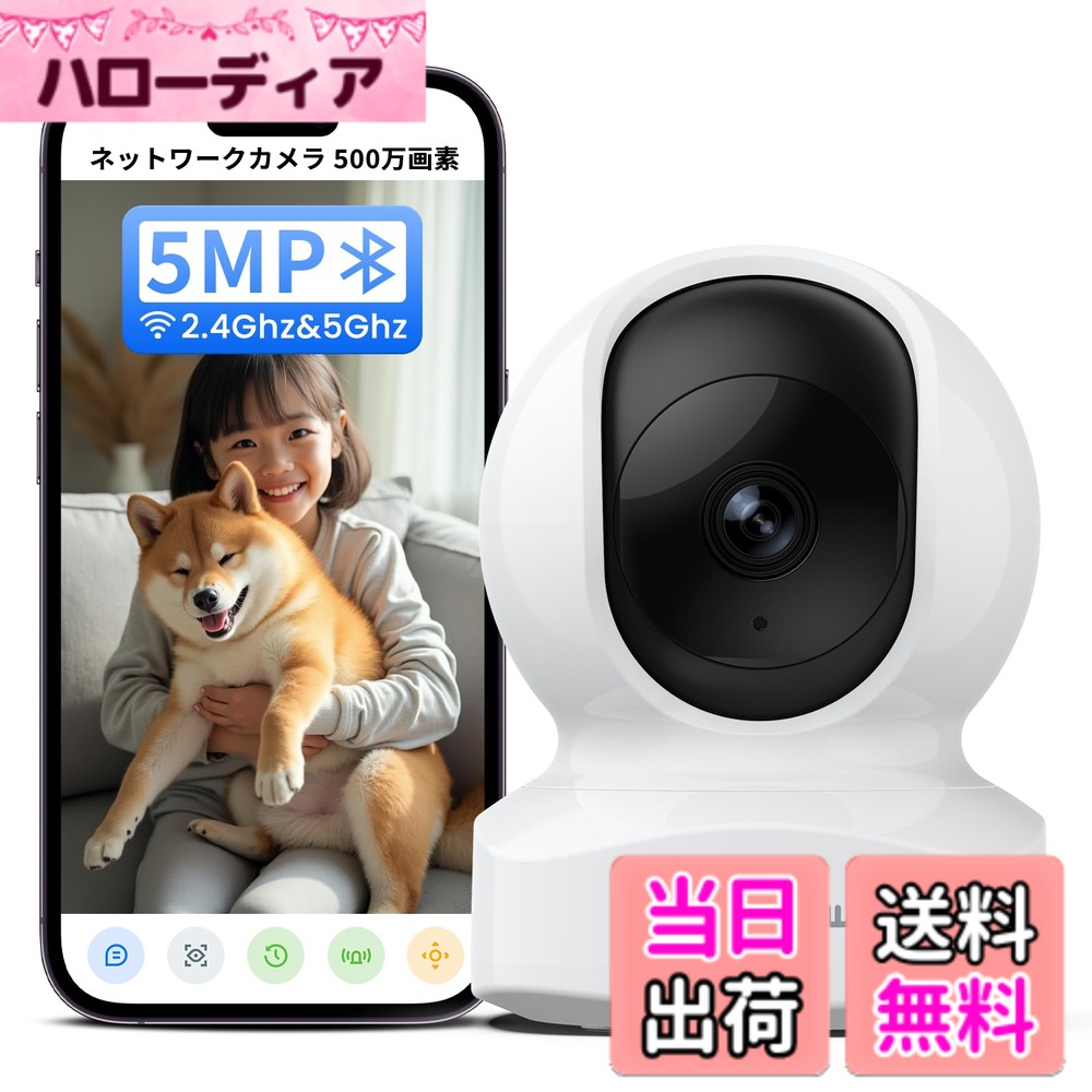 【貨物輸送無料】Wansview 色：5MP白・常時録画、大いさ：A.見守り写真機