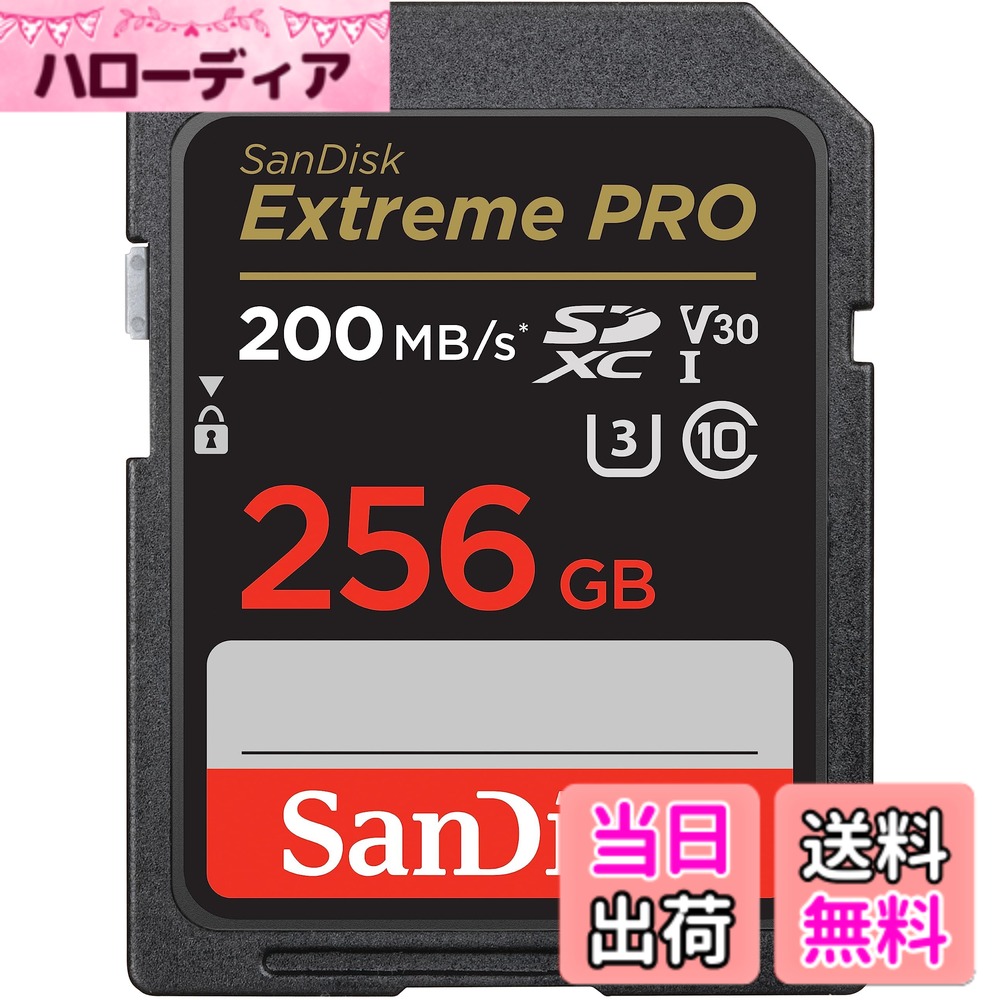 【貨物輸送無料】SanDisk 色：うす暗い薄墨色/黒いこと。、大きさ：256GB