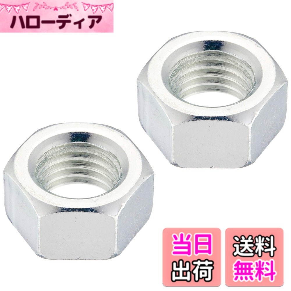【貨物輸送無料】TRUSCO(トラスコ) 六角中毒者1種 各種 色：三価白、大きさ：M20x2.5