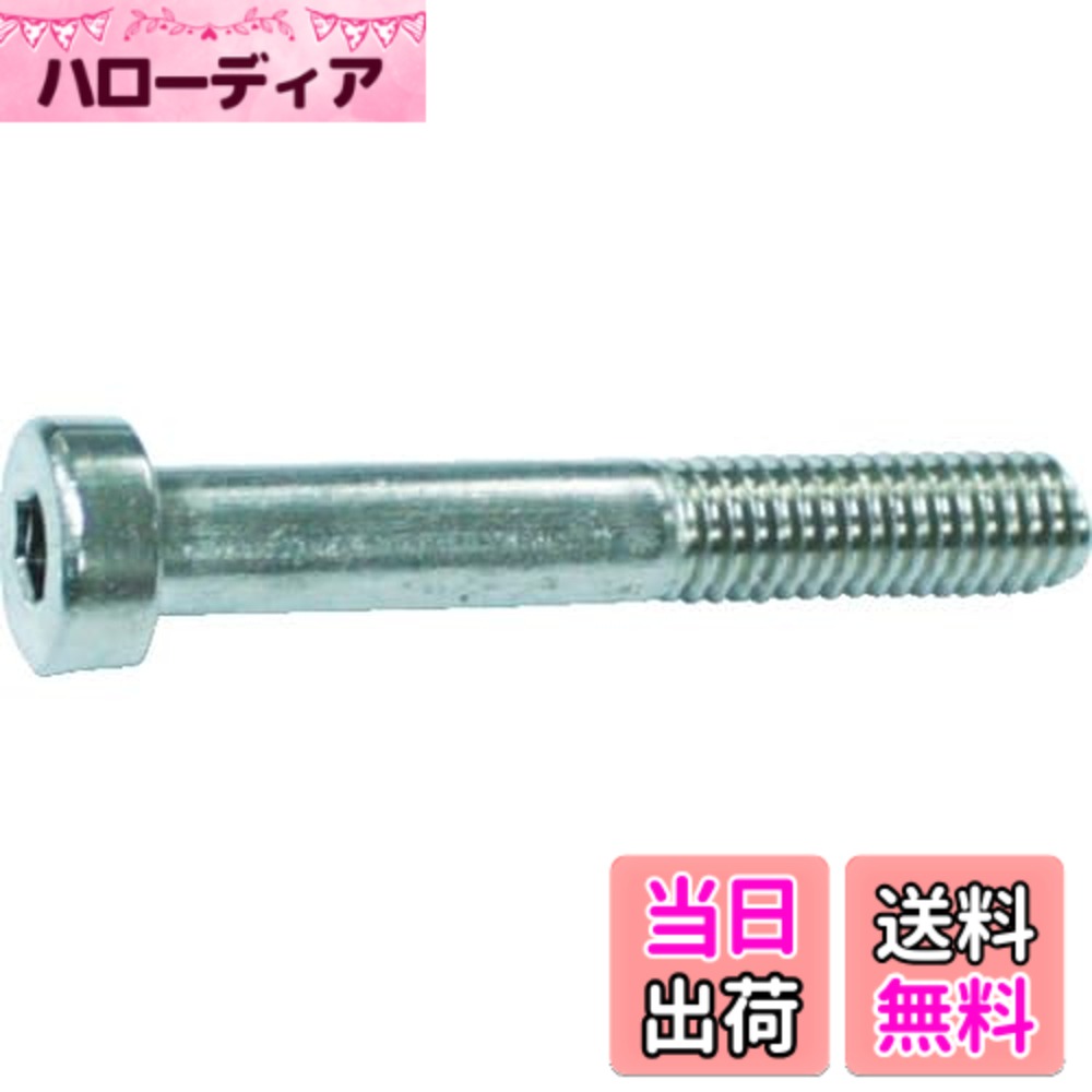 【貨物輸送無料】TRUSCO(トラスコ) 御辞儀六角穴付雄捩子 ステンレス鋼 大きさ：M6x40