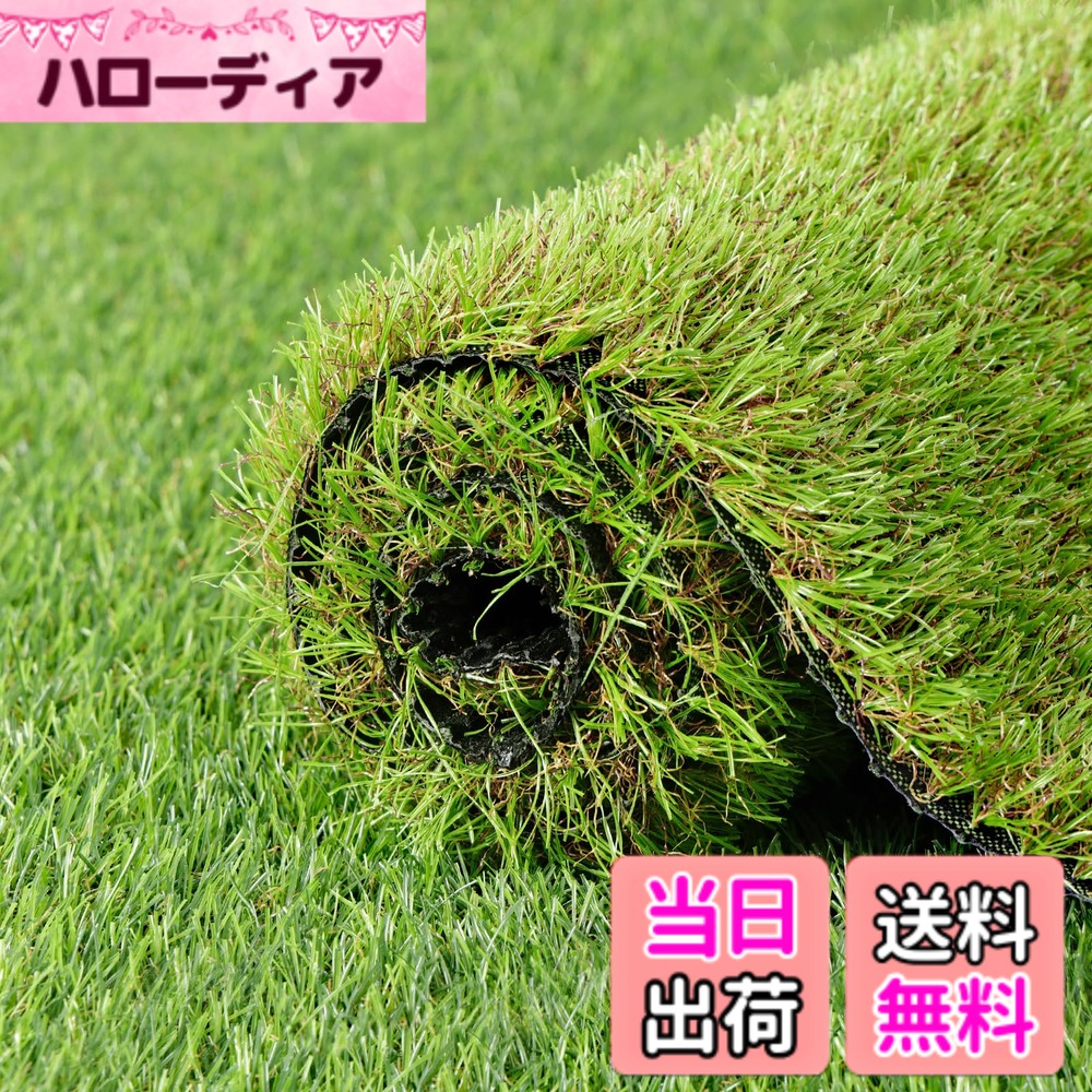 【送料無料】人工芝 ロール 1mx10m リアル感 芝丈38mm 高耐久 透水タイプ 防草シート 24本ピン付き 冬色 色：冬色、サイズ：2x10m 23,127円