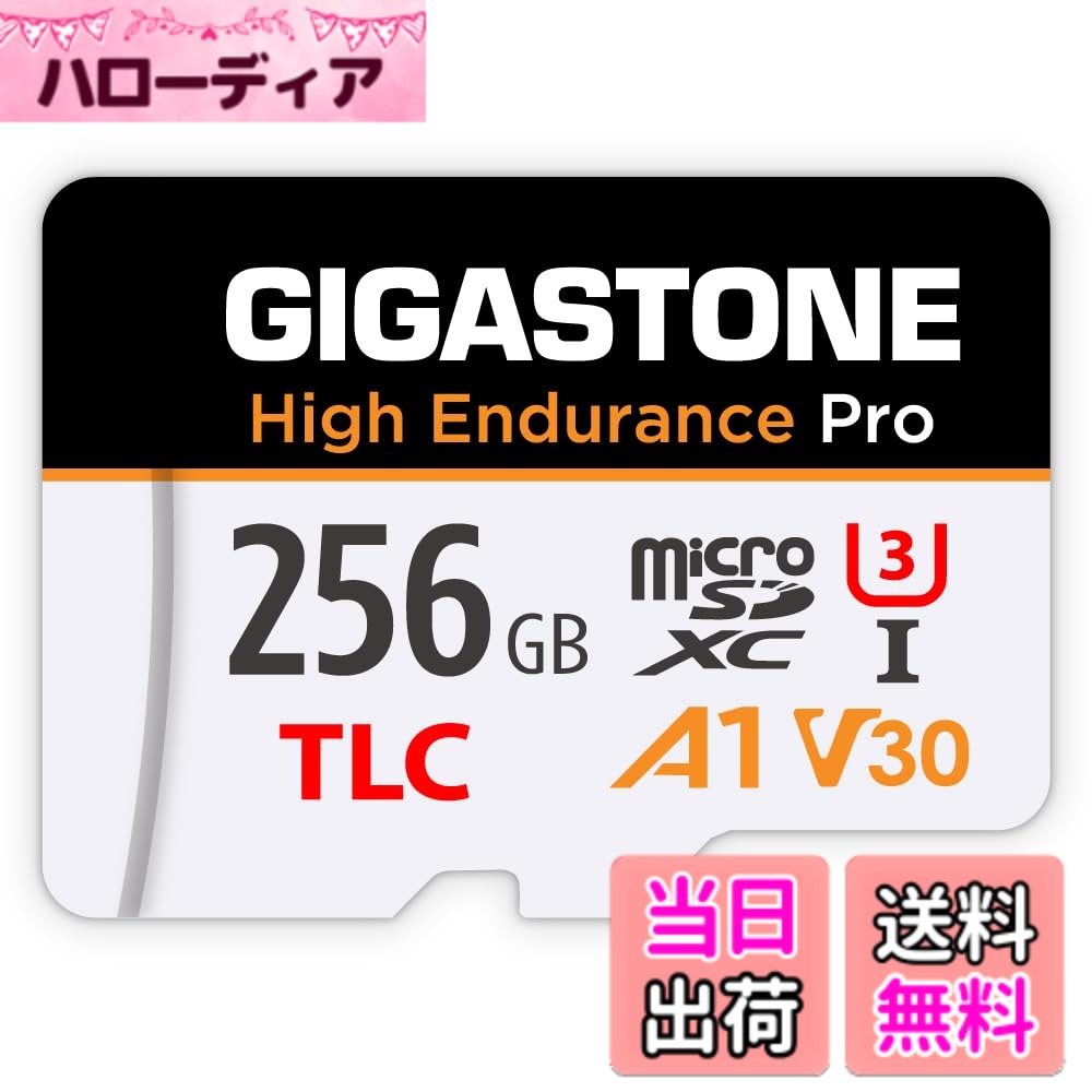 【貨物輸送無料】MSD-High Endurance Group 2 色：256GB High Endurance Pro 1-Pack