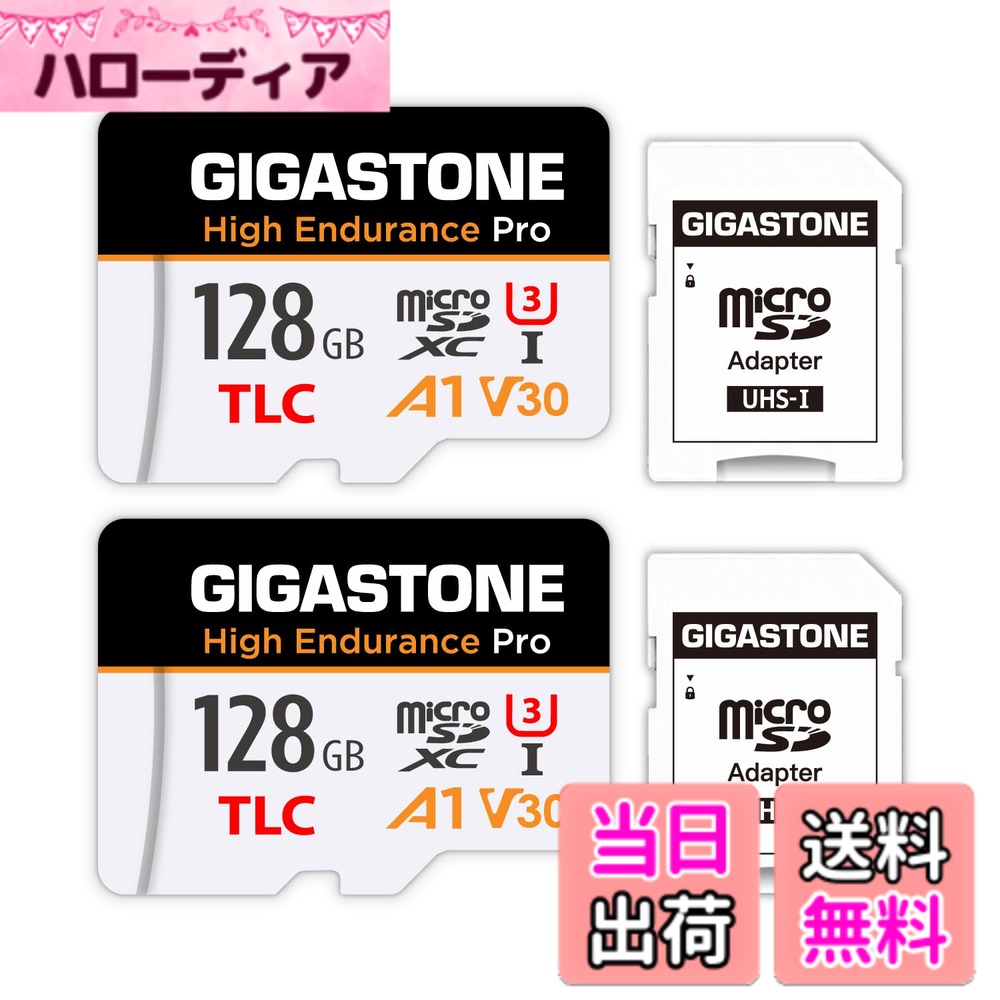 【貨物輸送無料】MSD-High Endurance Group 1 色：128GB High Endurance Pro 2-Pack
