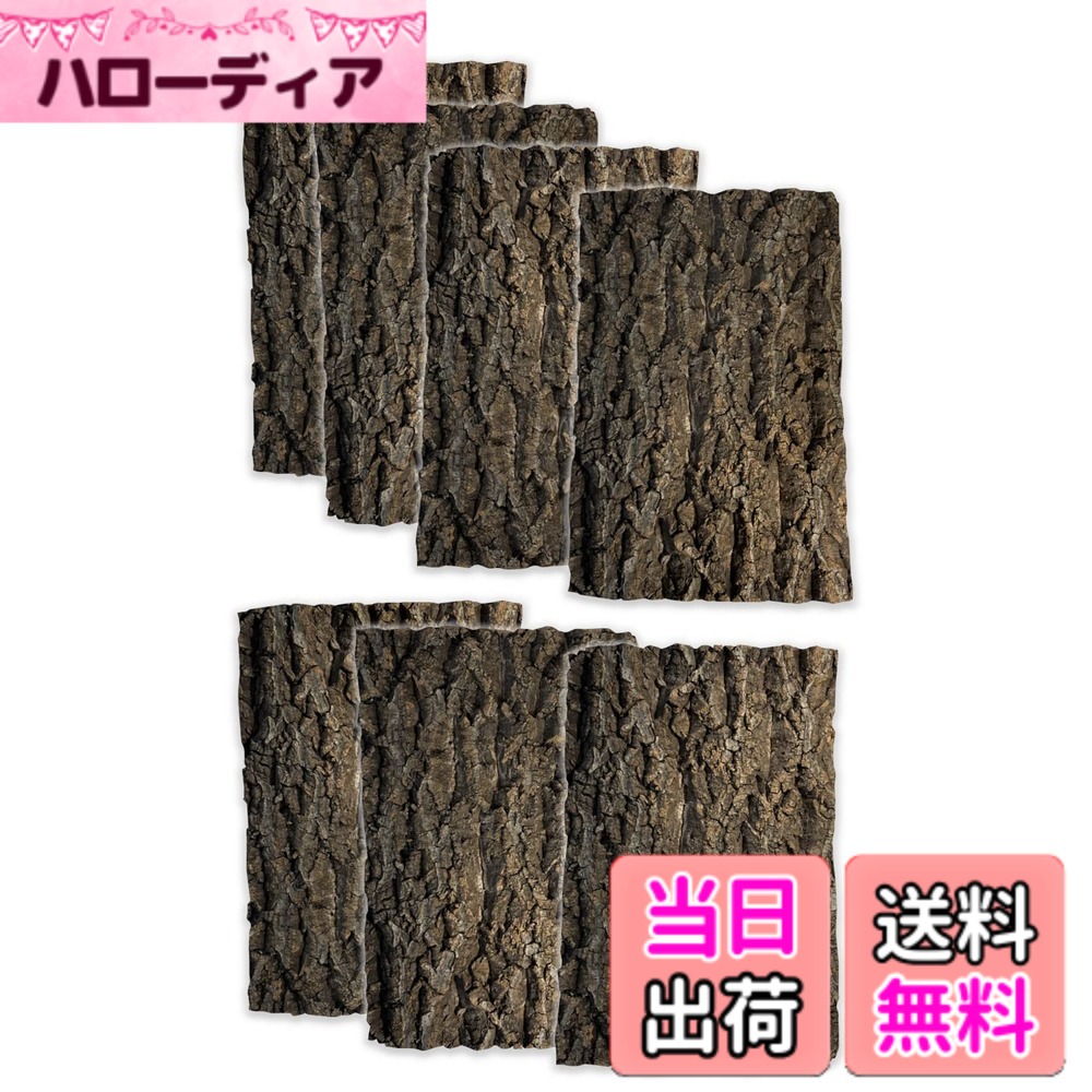 【送料無料】WinJapan コルク樹皮 着生 エアプランツ チランジア バークチップ 爬虫類 観葉植物 本物 ヘゴ板 サイズ：大サイズ 200x300　７枚