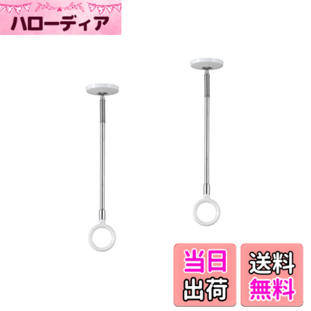 【貨物輸送無料】三角江技研(Kawaguchigiken) 室内用物干し ホスクリーン SPCS-W 白いこと 2本組 色：ビニール荷拵え、大きさ：Small