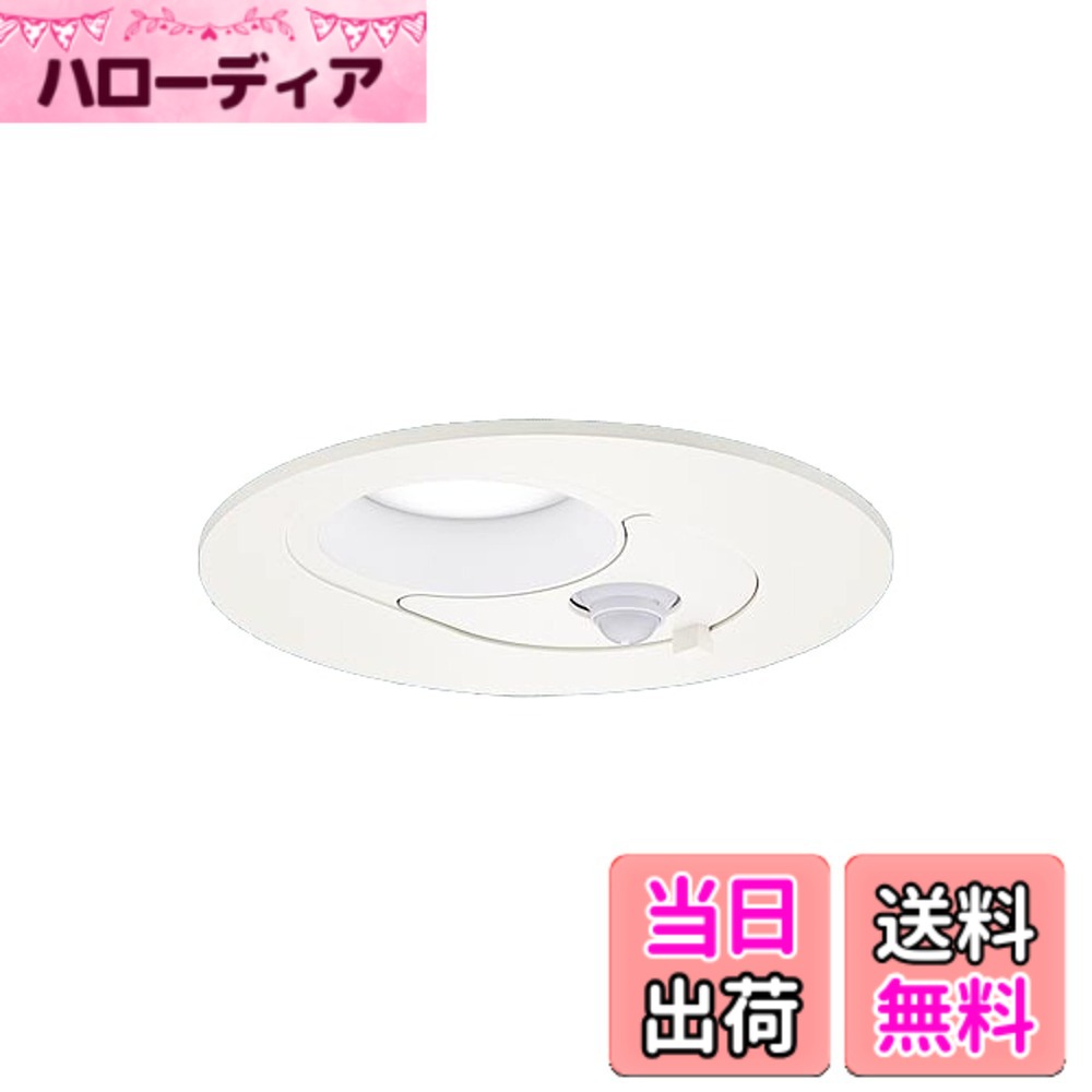 【貨物輸送無料】パナソニック(Panasonic) 落ちこむ点火装置 多役立つこと用 ・鳴りわたる・ON/OFF型・明るさ検知器付・φ100 60形 白いこと 各種 色：白いこと、大きさ：60形