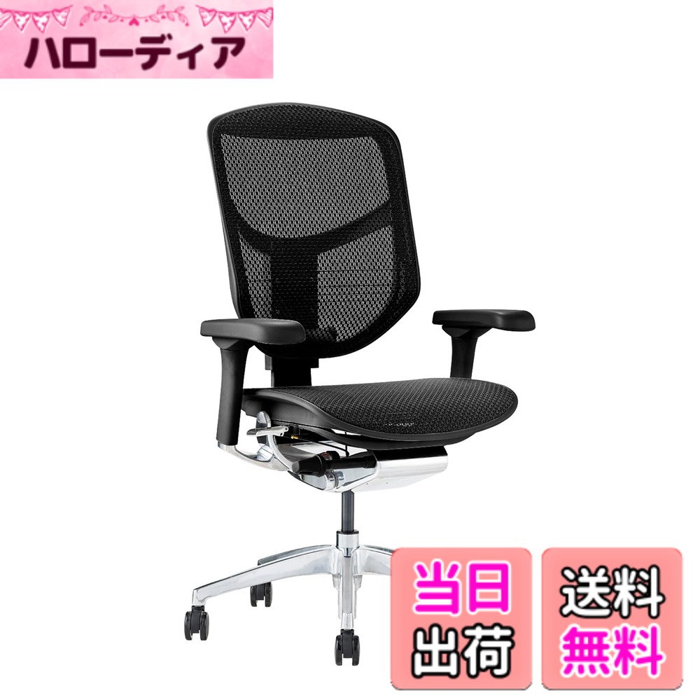 【貨物輸送無料】エルゴヒューマン2(ergohuman2) 事務室女性議長 ENJOY 喜ばせる 色：メッシュ:黒いこと / ひな形:黒いこと、大きさ：置き目手合い