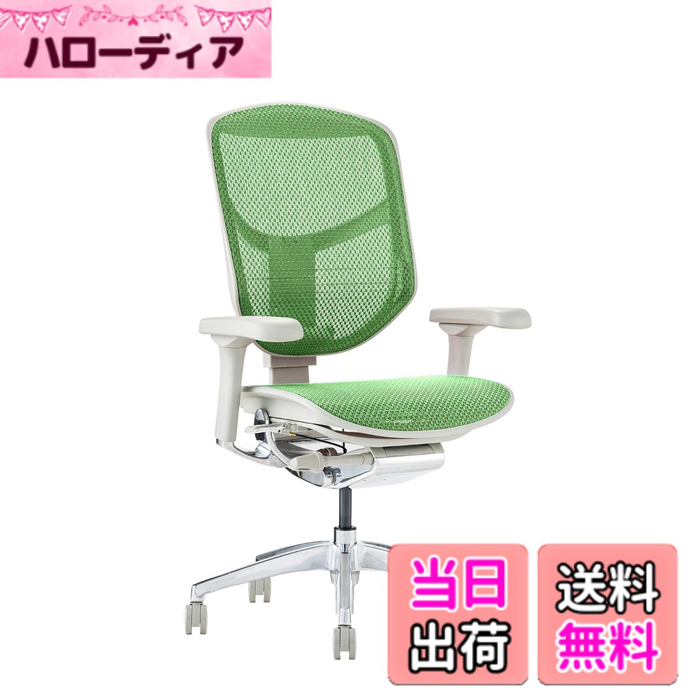【貨物輸送無料】エルゴヒューマン2(ergohuman2) 執務室女性議長 ENJOY 悦ばせる 色：メッシュ:緑であること / 一こま:薄墨色、大きさ：置き目手合い