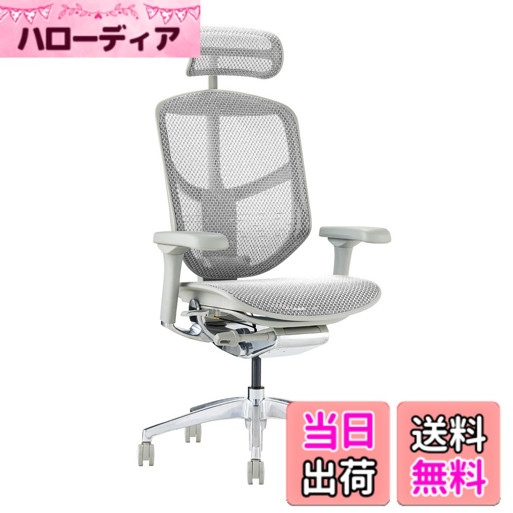 【貨物輸送無料】エルゴヒューマン2(ergohuman2) 執務室女性議長 ENJOY 悦ばせる 色：メッシュ:薄墨色 / 一こま:薄墨色、大きさ：御機嫌手合い
