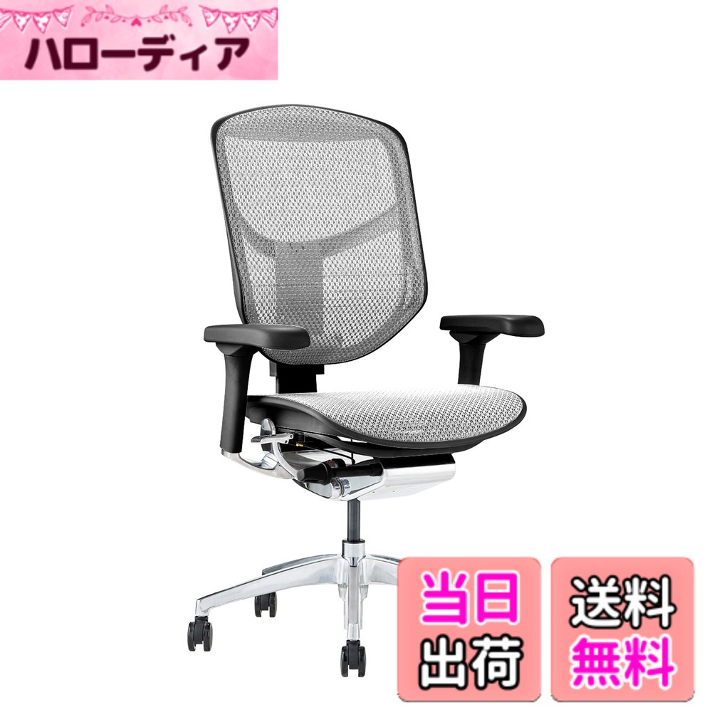 【貨物輸送無料】エルゴヒューマン2(ergohuman2) 事務室女性議長 ENJOY 喜ばせる 色：メッシュ:白いこと / ひな形:黒いこと、大きさ：置き目手合い