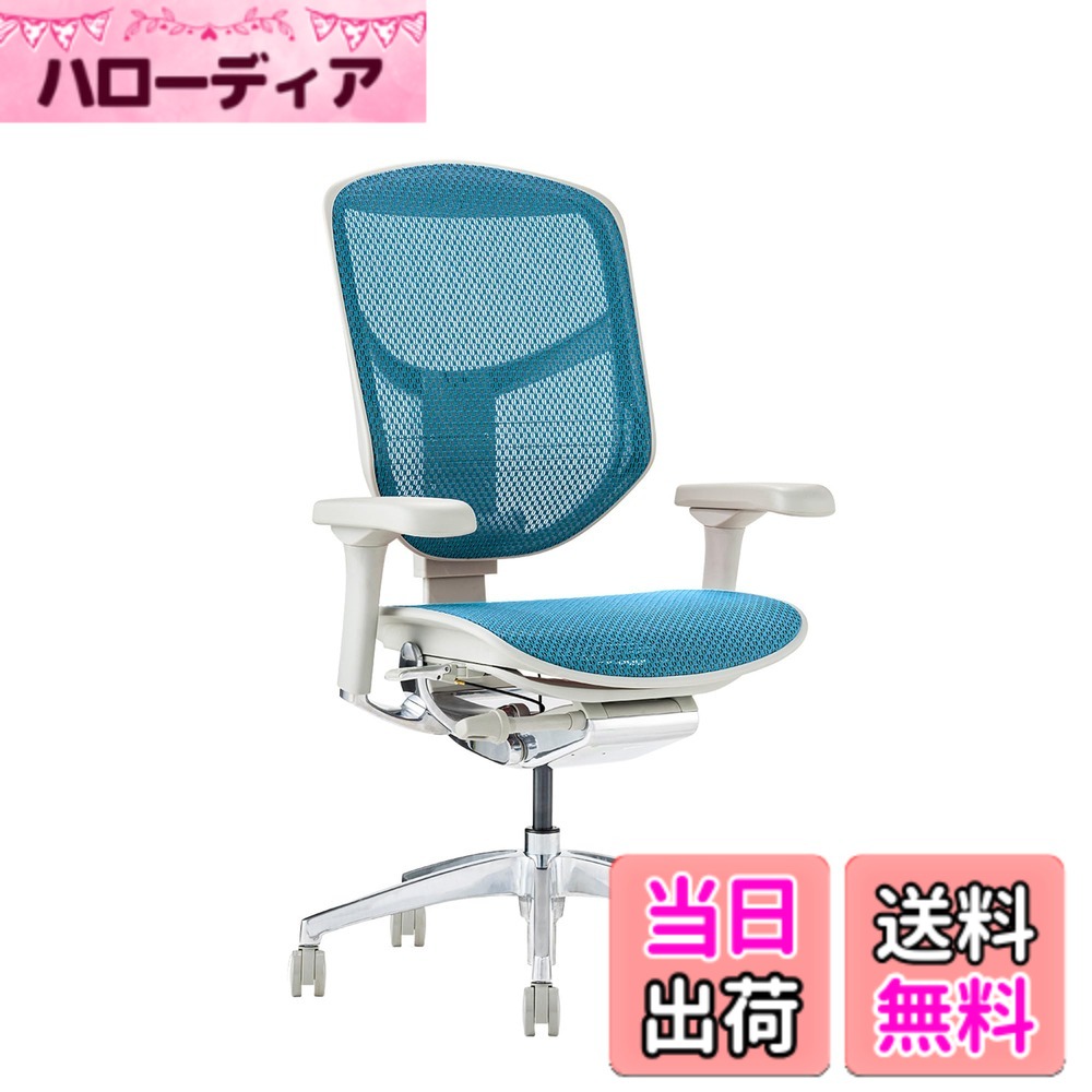 【貨物輸送無料】エルゴヒューマン2(ergohuman2) 事務室女性議長 ENJOY 喜ばせる 色：メッシュ:薄墨色 / ひな形:薄墨色、大きさ：置き目手合い