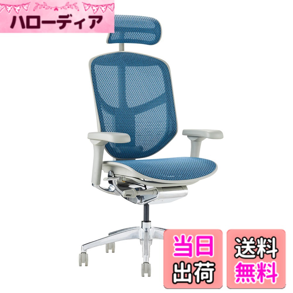 【貨物輸送無料】エルゴヒューマン2(ergohuman2) 執務室女性議長 ENJOY 悦ばせる 色：メッシュ:青色 / 一こま:薄墨色、大きさ：御機嫌手合い