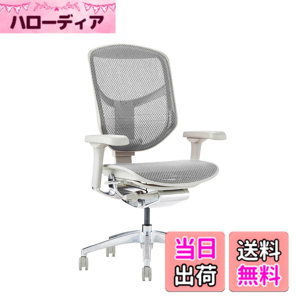 【貨物輸送無料】エルゴヒューマン2(ergohuman2) 執務室女性議長 ENJOY 悦ばせる 色：メッシュ:白いこと / 一こま:薄墨色、大きさ：置き目手合い