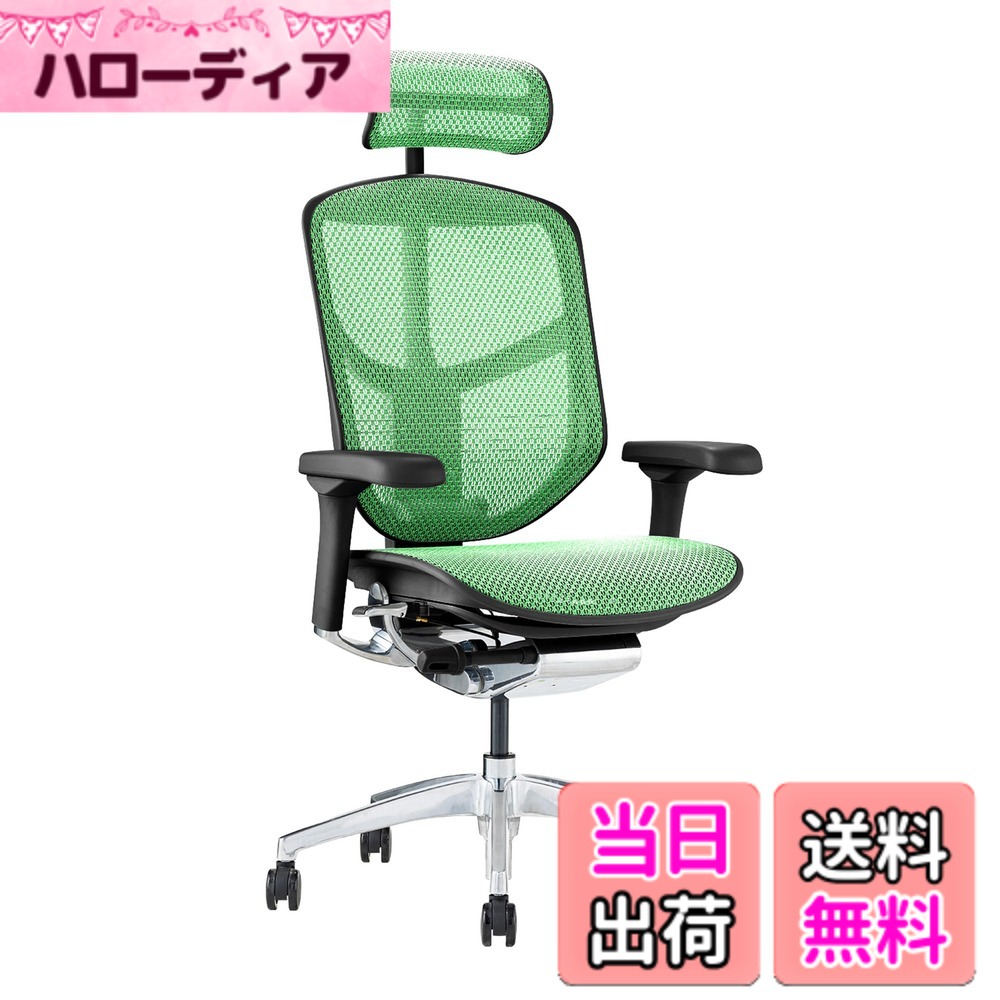 【貨物輸送無料】エルゴヒューマン2(ergohuman2) 執務室女性議長 ENJOY 悦ばせる 色：メッシュ:緑であること / 一こま:黒いこと、大きさ：御機嫌手合い