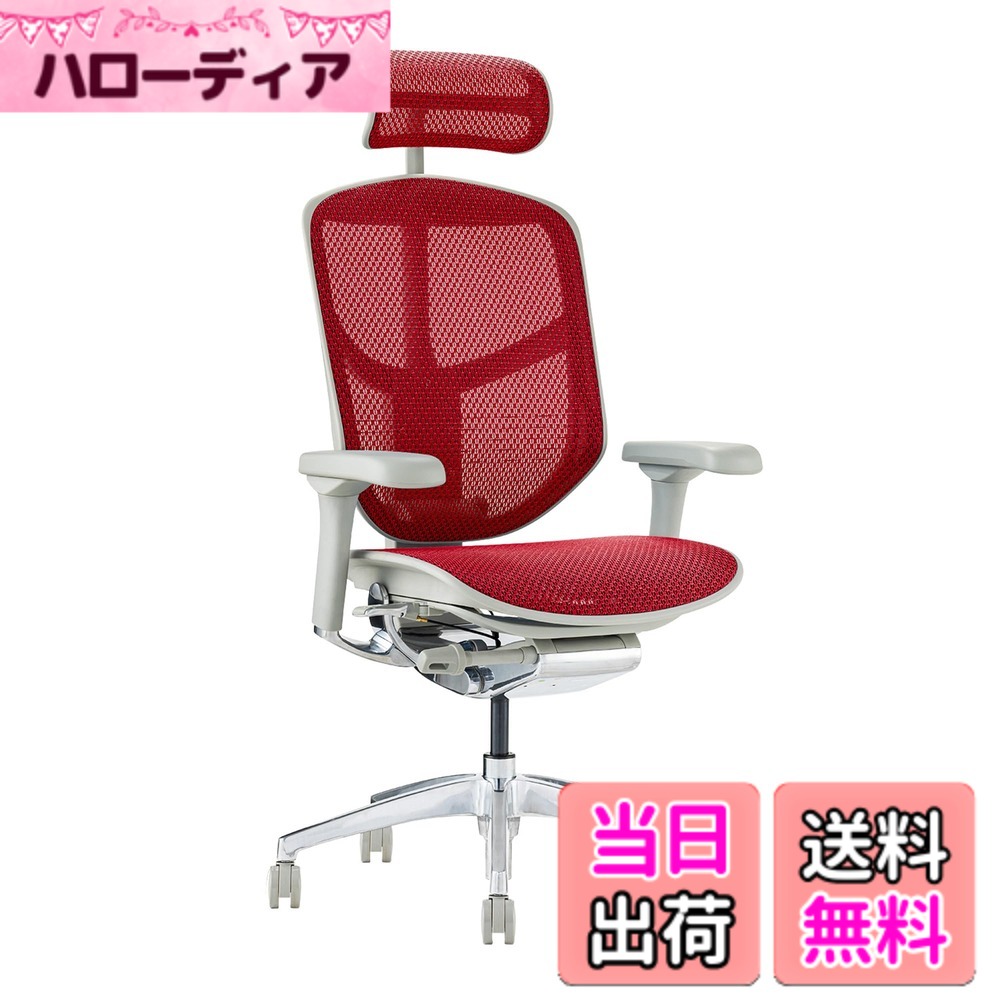 【貨物輸送無料】エルゴヒューマン2(ergohuman2) 執務室女性議長 ENJOY 悦ばせる 色：メッシュ:赤いこと / 一こま:薄墨色、大きさ：御機嫌手合い