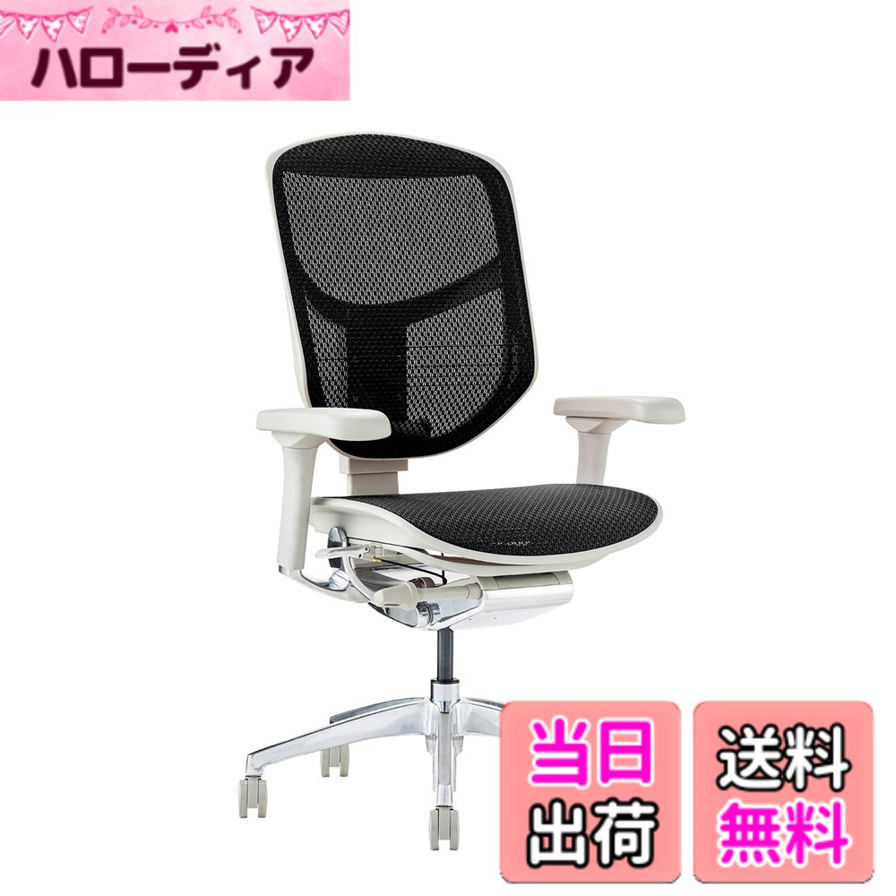 【貨物輸送無料】エルゴヒューマン2(ergohuman2) 執務室女性議長 ENJOY 悦ばせる 色：メッシュ:黒いこと / 一こま:薄墨色、大きさ：置き目手合い