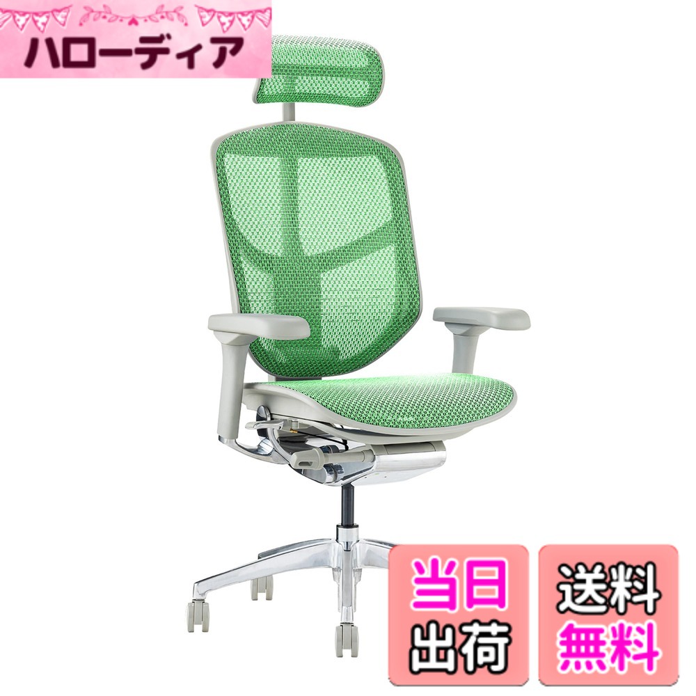 【貨物輸送無料】エルゴヒューマン2(ergohuman2) 執務室女性議長 ENJOY 悦ばせる 色：メッシュ:緑であること / 一こま:薄墨色、大きさ：御機嫌手合い