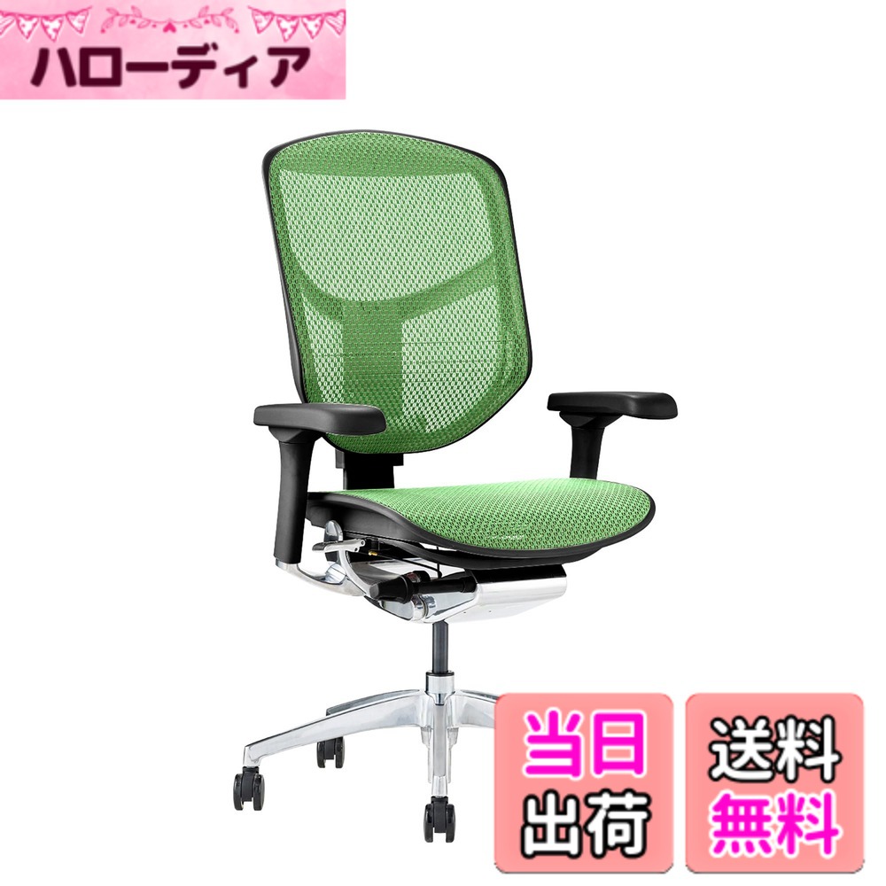 【貨物輸送無料】エルゴヒューマン2(ergohuman2) 事務室女性議長 ENJOY 喜ばせる 色：メッシュ:緑であること / ひな形:黒いこと、大きさ：置き目手合い