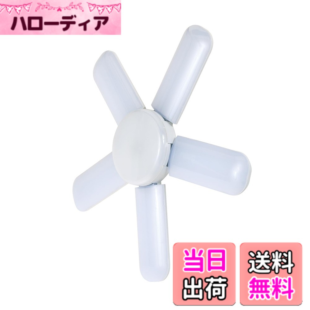 【貨物輸送無料】SK11 LED岩礁点火装置2 屋内用 昼光色 色：白いこと、大きさ：本体