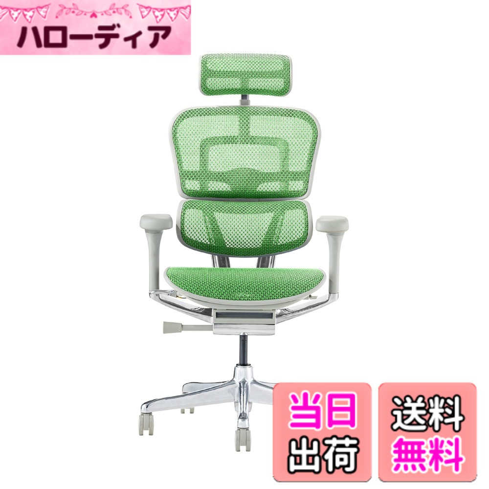 【貨物輸送無料】エルゴヒューマン2(Ergohuman2) 事務室女性議長 色：ひな形:GRAY / メッシュ:GREEN、大きさ：ご機嫌手合い