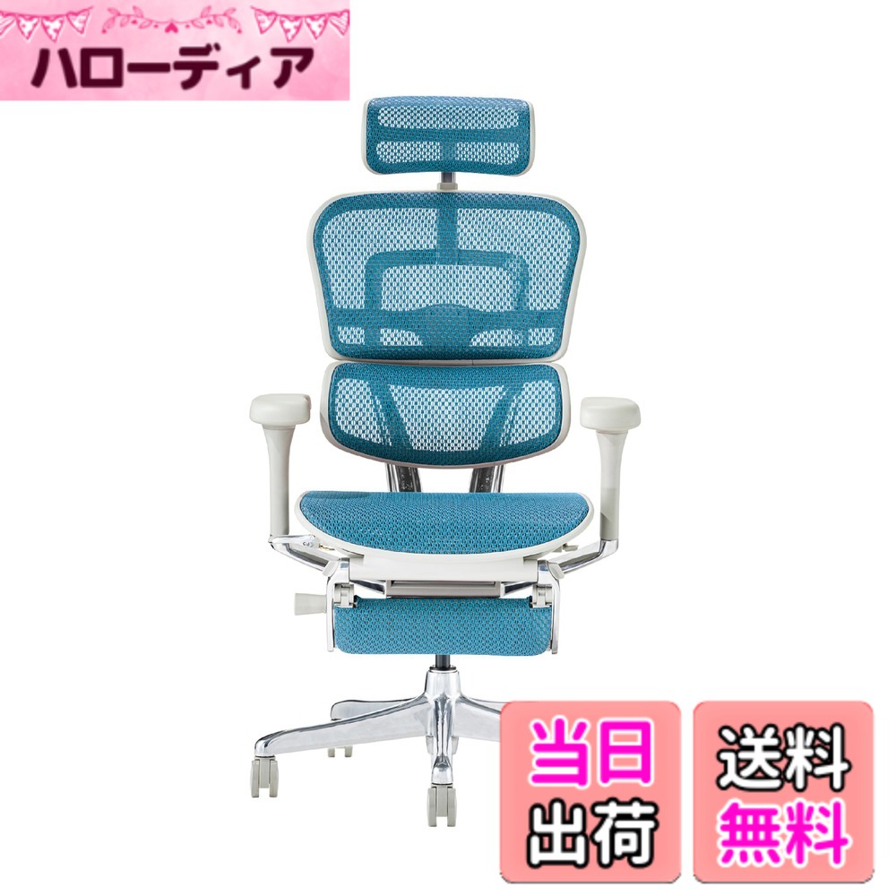 【貨物輸送無料】エルゴヒューマン2(Ergohuman2) 事務室女性議長 色：ひな形:GRAY / メッシュ:BLUE、大きさ：ハイタイプ・オットマン内臓