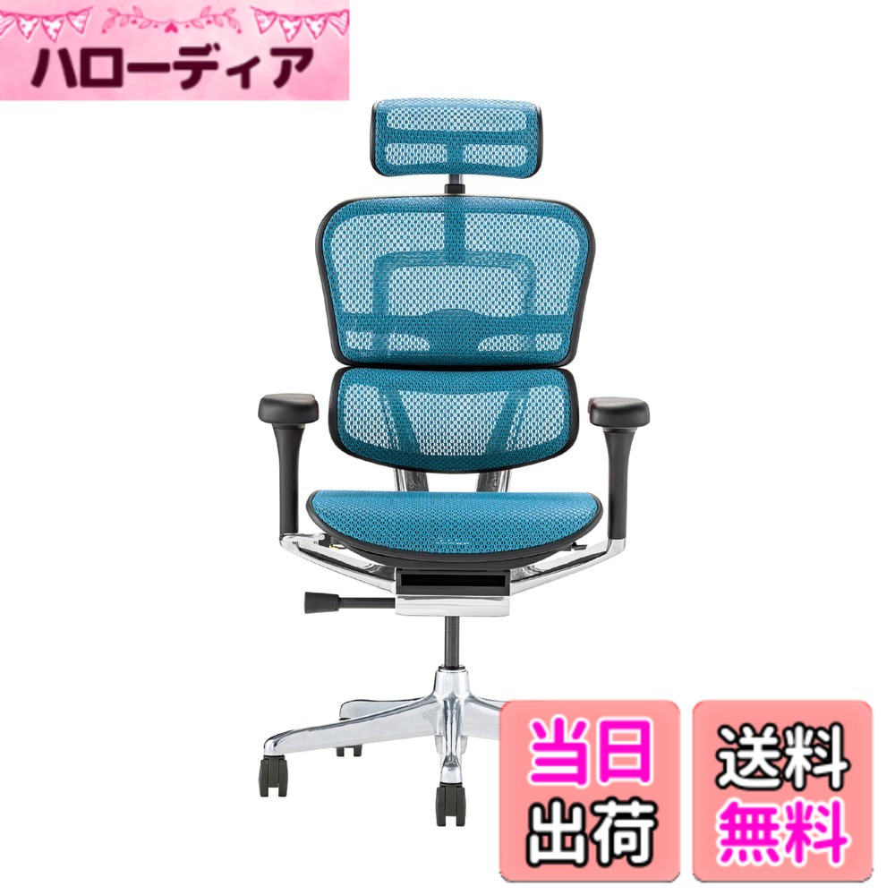 【貨物輸送無料】エルゴヒューマン2(Ergohuman2) 事務室女性議長 色：枠組み:BLACK / メッシュ:BLUE、大いさ：御機嫌印字機
