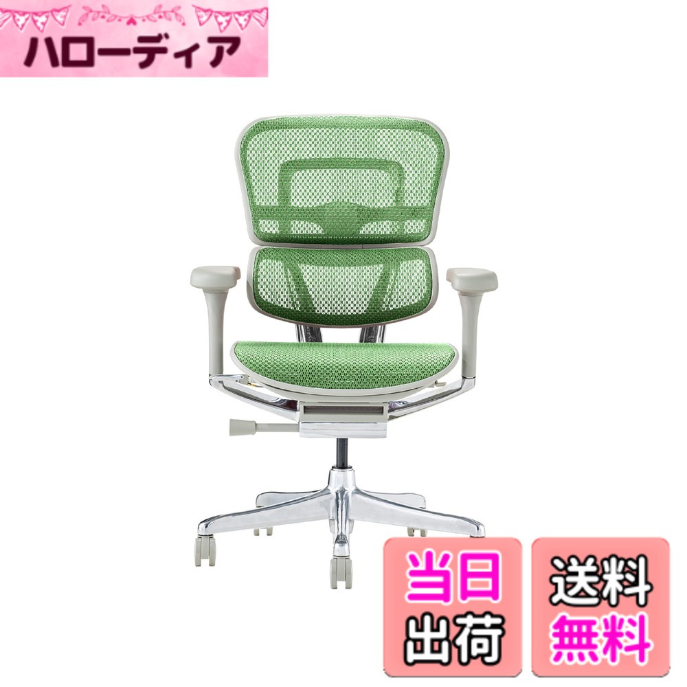 【貨物輸送無料】エルゴヒューマン2(Ergohuman2) 事務室女性議長 色：枠組み:GRAY / メッシュ:GREEN、大いさ：置き目印字機