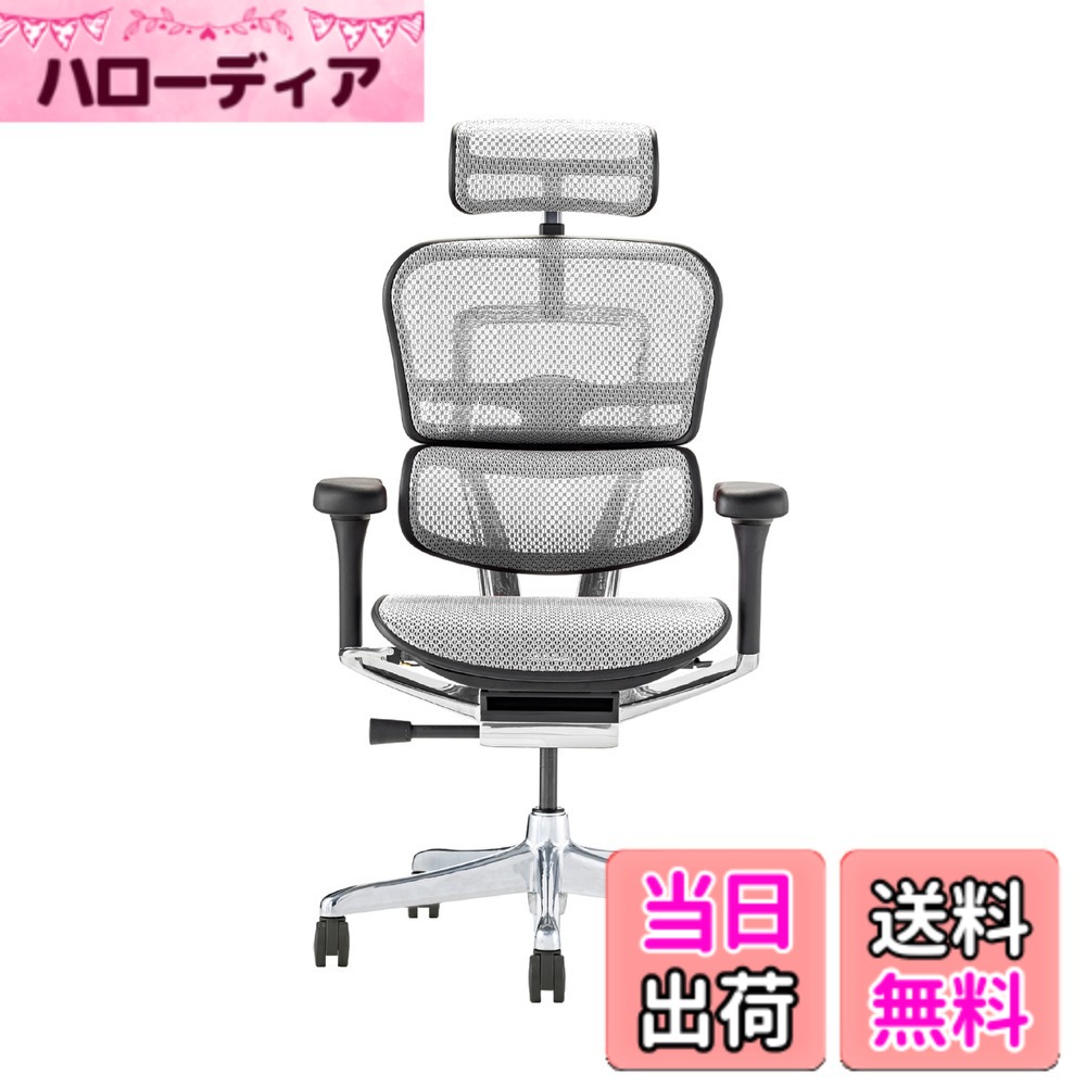 【送料無料】エルゴヒューマン2(Ergohuman2) オフィスチェア 色：フレーム:BLACK / メッシュ:WHITE、サイズ：ハイタイプ