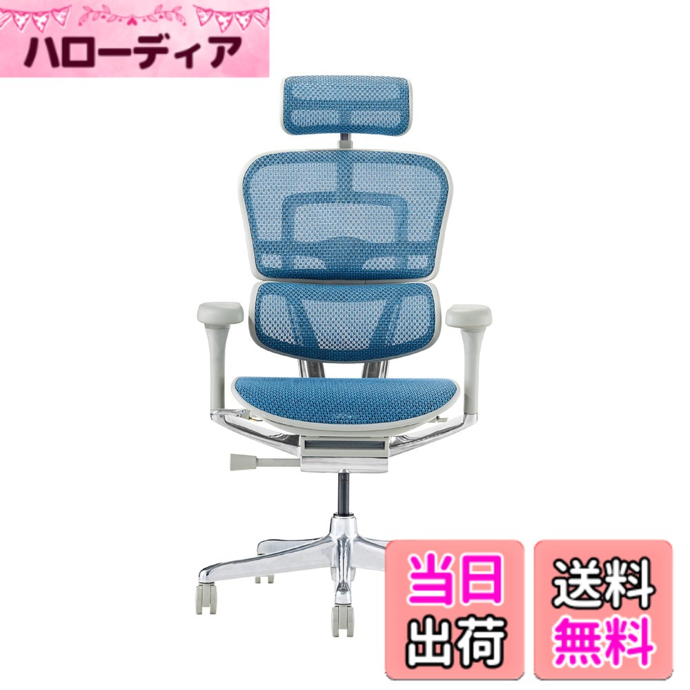【貨物輸送無料】エルゴヒューマン2(Ergohuman2) 事務室女性議長 色：枠組み:GRAY / メッシュ:BLUE、大いさ：御機嫌印字機