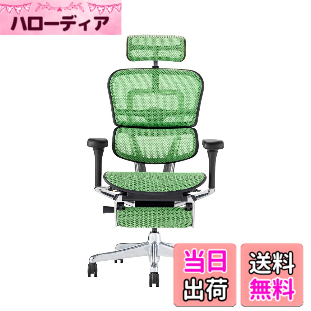 【貨物輸送無料】エルゴヒューマン2(Ergohuman2) 事務室女性議長 色：枠組み:BLACK / メッシュ:GREEN、大いさ：ハイタイプ・オットマン内臓