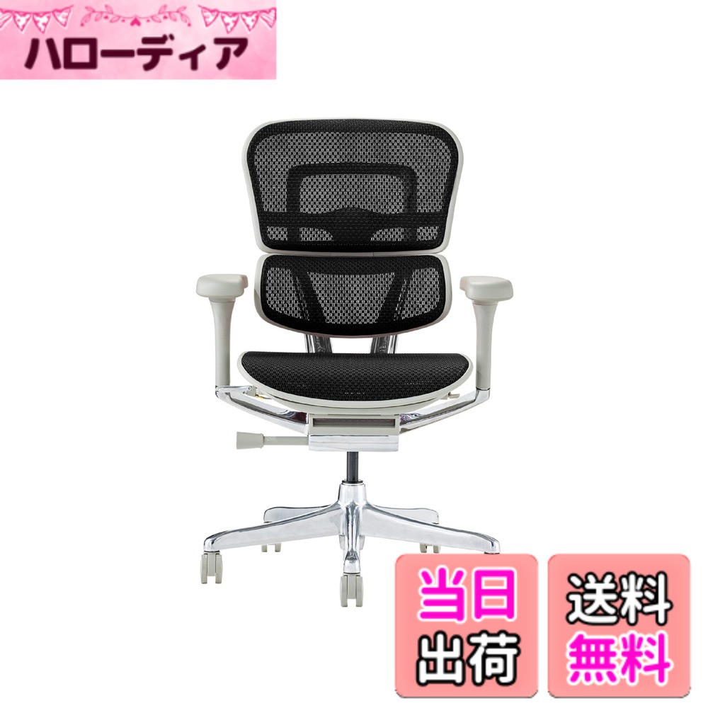 【送料無料】エルゴヒューマン2(Ergohuman2) オフィスチェア 色：フレーム:GRAY / メッシュ:BLACK、サイズ：ロータイプ