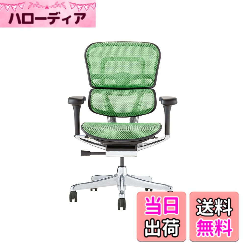 【貨物輸送無料】エルゴヒューマン2(Ergohuman2) 事務室女性議長 色：枠組み:BLACK / メッシュ:GREEN、大いさ：置き目印字機