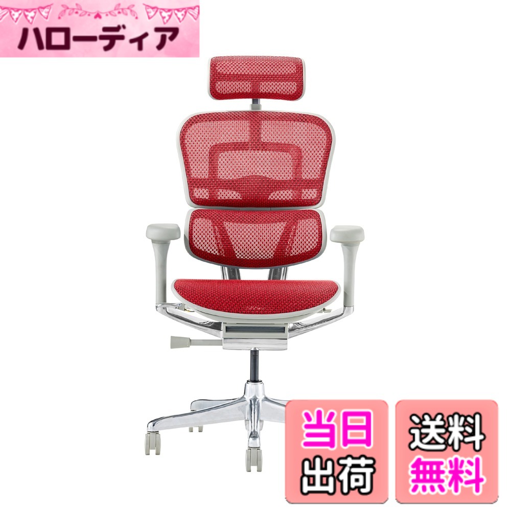 【貨物輸送無料】エルゴヒューマン2(Ergohuman2) 事務室女性議長 色：枠組み:GRAY / メッシュ:RED、大いさ：御機嫌印字機