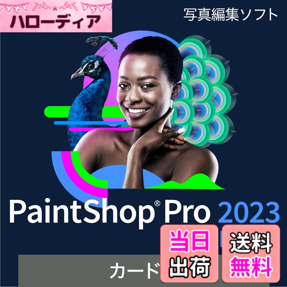 【貨物輸送無料】PaintShop Pro 2023 色：優良版