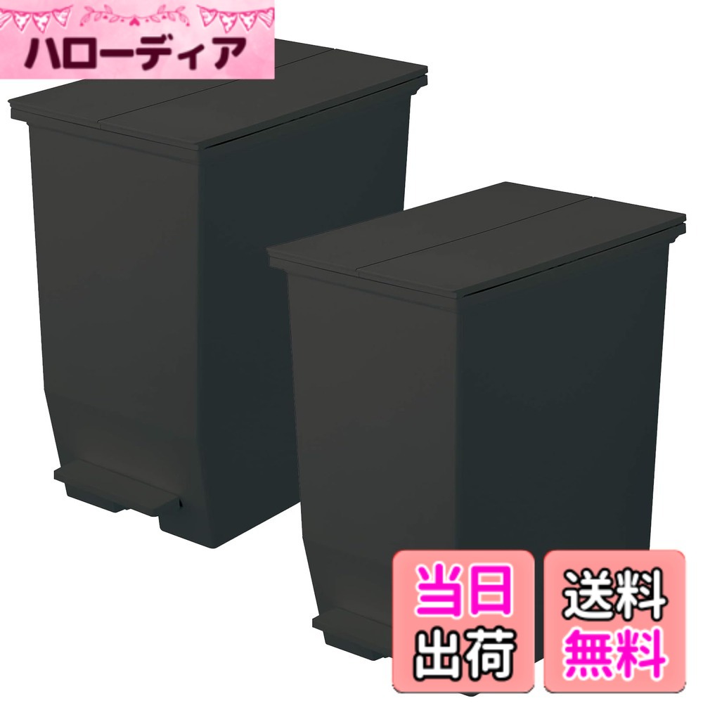 【送料無料】リス(RISU) ソロウ ゴミ箱 ふた付き ペダルオープン 両開き 抗菌 加工 日本製 おしゃれ キッチン 分別 スリム キャスター付き ダストボックス カップボード バリエーション 色:ブラック、サイズ:45L