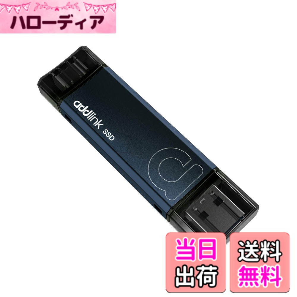 【送料無料】P30 portable SSD サイズ：500GB
