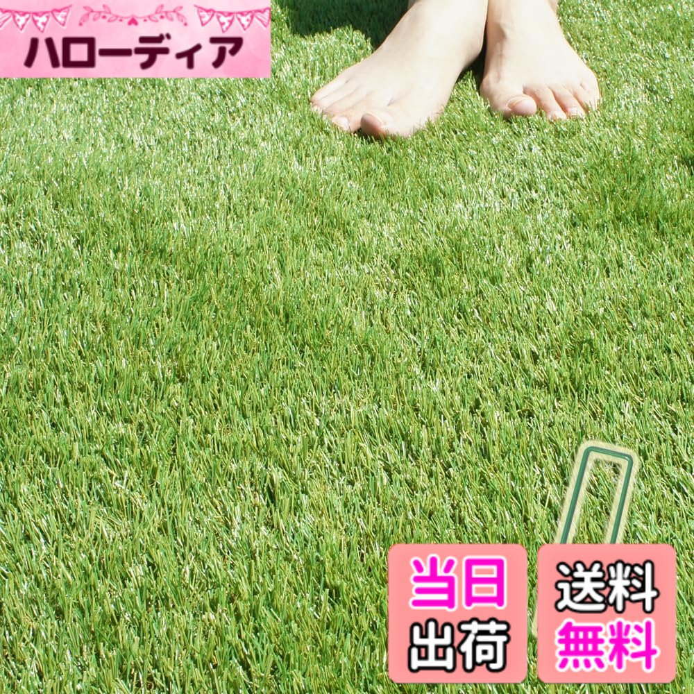 【貨物輸送無料】人工芝 一巻き くっ付ける専用 ピン （ GAターフピン ）付 ターフグランデ 朦朦たる4層バッキング 広げてもシワができない極ふわ人工芝 色：秋冬緑であること（割り増し金35粍）、大いさ：1マクスウェル10m いの一番付 門扉-花・ガーデン・DIY-玄関・門用エクステリア