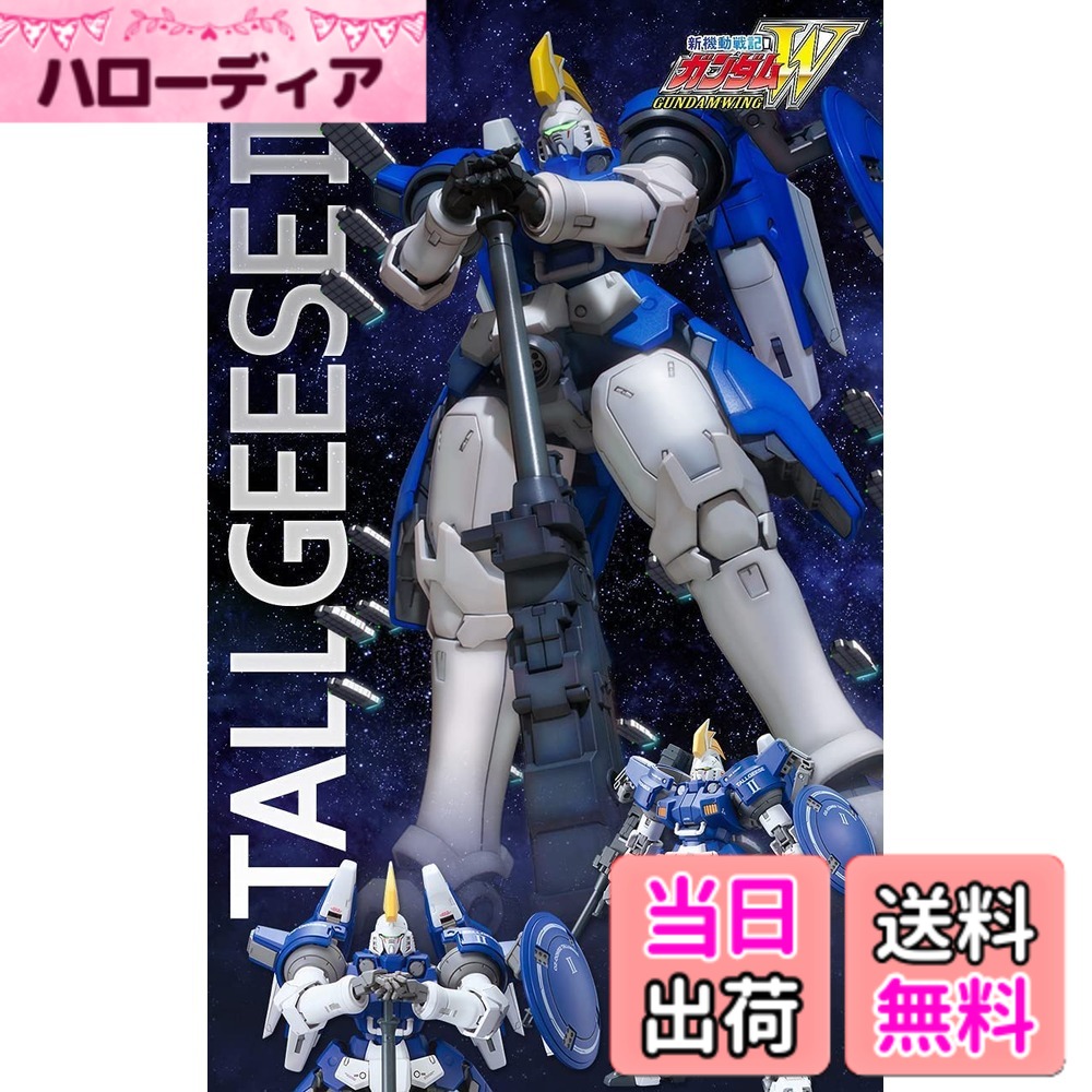 【送料無料】MG 1/100 新機動戦記ガンダムW トールギスII プラモデル （プレミアムバンダイ限定） サイズ：ワンサイズ