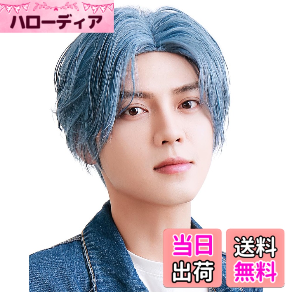【送料無料】[TefuRe] テフリ 富士達 メンズ ショート ウィッグ センター分け 自然 カラバリ 耐熱 かつら ウィッグネット 付き センターパートショート MEN-003 色：ブルー