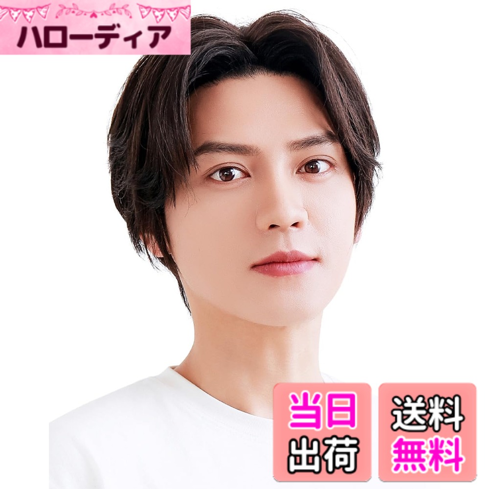 【送料無料】[TefuRe] テフリ 富士達 メンズ ショート ウィッグ センター分け 自然 カラバリ 耐熱 かつら ウィッグネット 付き センターパートショート MEN-003 色：ナチュラルブラック