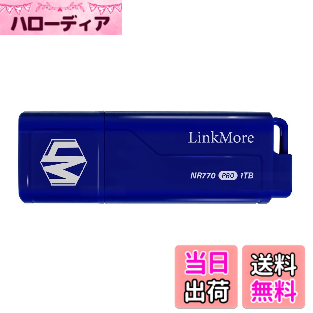 【貨物輸送無料】LinkMore 超弾丸道路 USB記憶装置 1結核症 USB3.2(Gen2) SSD外後ばらい なおなお書き(4) なおなお書き(5)動くこと突き止める済 (読込最大1000MB/s)