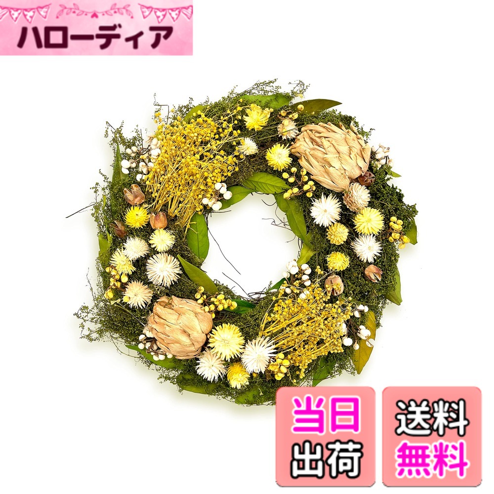 【貨物輸送無料】［ 2024年 mamawreath ］自然的賃貸借契約 ミモザ風 ワイルドフラワー 原住民御花 素っ気ない御花 春賃貸借契約 差し上げ物 差し上げ物 部屋の入り口 オール時期 黄色 L大きさ:33珊(差しわたし)x7.5珊(奥ふかさ)WR-40-A (ミモザ雑ぜ合わせるL, 黄色)